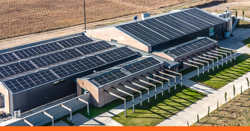 ვაზისუბნის მამული – ხარისხისა და წარმატების მრავალსაუკუნოვანი ისტორია