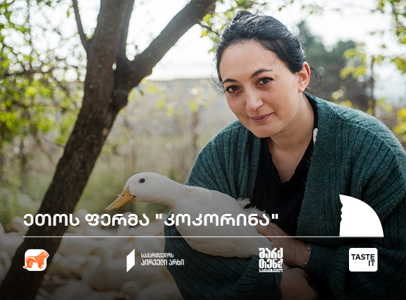 კოკორინა: როგორ გადაიქცა იხვის ფერმა Shark Tank-ის ჰიტად?