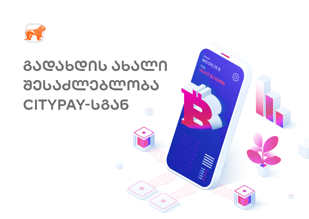 CityPay: როგორ ცვლის ქართული სტარტაპი გადახდებს კრიპტოთი?