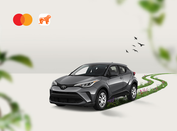 საქართველოს ბანკის და Mastercard-ის ეკო-მეგობრული გათამაშება უკვე დაიწყო [2021]