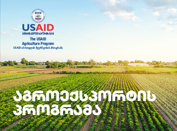 როგორ გაიტანოთ ქართული პროდუქტი საერთაშორისო ბაზარზე?