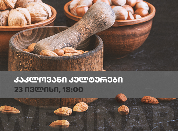 კაკლოვანი კულტურები: აღმოაჩინეთ ბიზნესის ახალი პოტენციალი