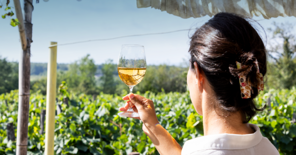 აღმოაჩინეთ აგროტურიზმის მზარდი პოტენციალი საქართველოში