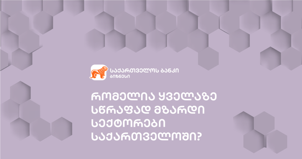 საქართველოს ეკონომიკის მიმოხილვა: რომელია ყველაზე სწრაფად მზარდი სექტორები