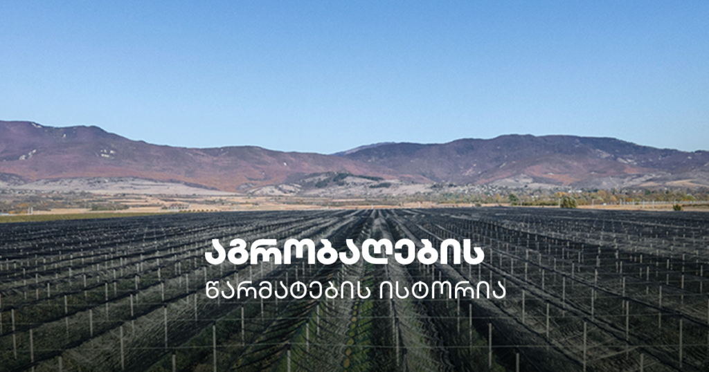 ვაშლის მაღალტექნოლოგიური ბაღები გორიდან – აგრობაღების წარმატების ისტორია