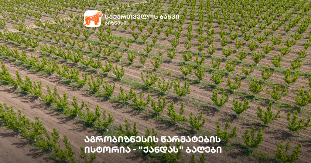 სოფელ ქანდაში დაწყებული სამეურნეო ბიზნესი - საქართველოს ბანკის მხარდაჭერა აგრობიზნესს