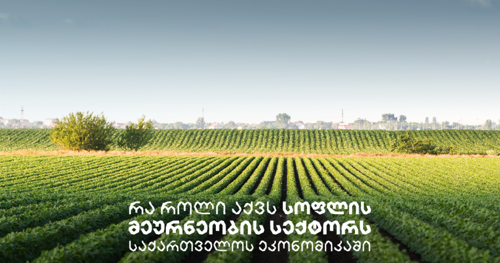 საქართველოს სოფლის მეურნეობაში ბიზნესის ზრდის პოტენციალი მაღალია