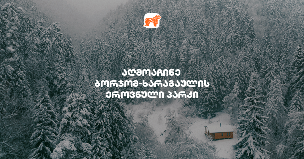3 მიზეზი, თუ რატომ უნდა ეწვიო ბორჯომ-ხარაგაულის ეროვნულ პარკს