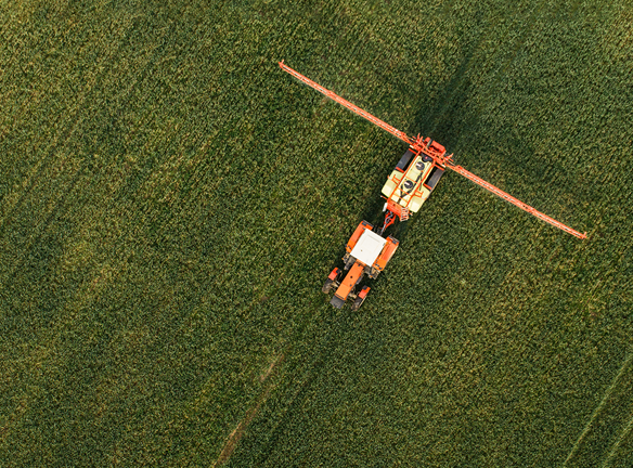 საგრანტო კონკურსში გაიმარჯვე? მიიღე თანადაფინანსება!