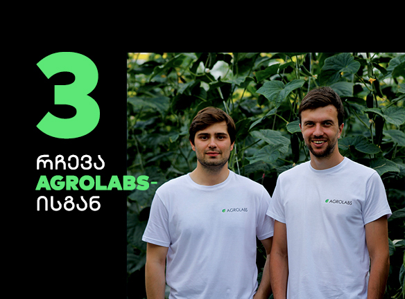 Agrolabs-ის 3 გაკვეთილი: სტარტაპის წარმატების ფორმულა