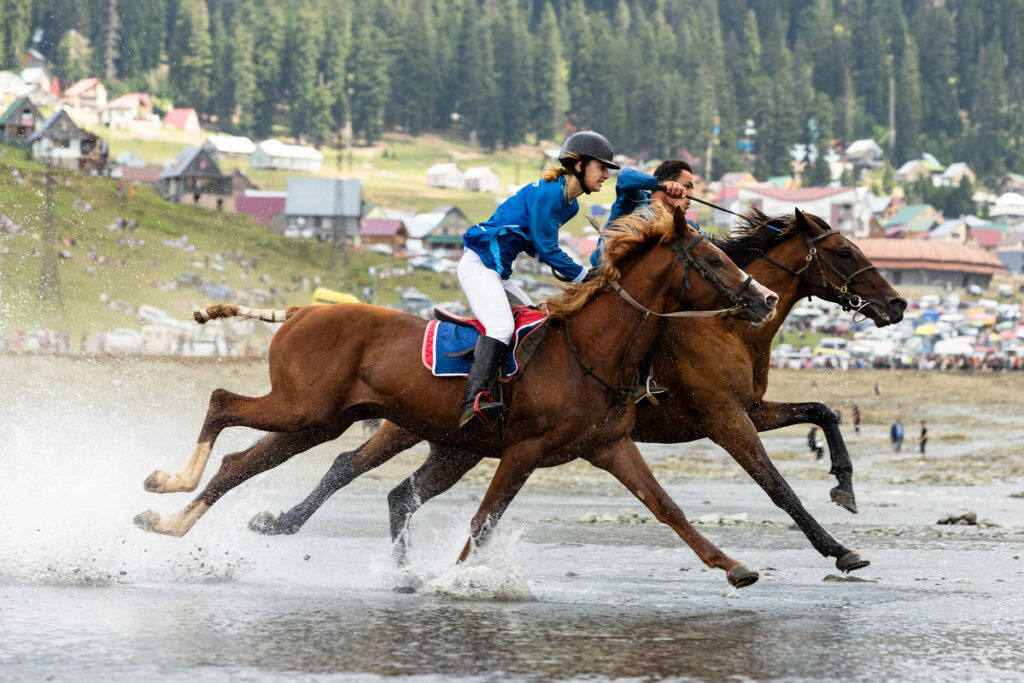 ბახმაროში ტრადიციული დოღი ჩატარდა — გაიცანით ბახმაროს თასი 2023-ის გამარჯვებული