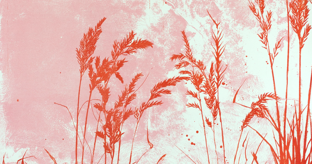 აღმოაჩინეთ INK FUSION: 12 განსაკუთრებული ნამუშევარი