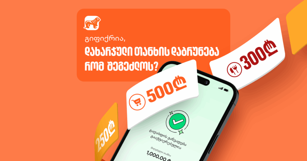 გიფიქრია, დახარჯული თანხის დაბრუნება რომ შეგეძლოს? ყველაფერი გადახდის განვადებაზე