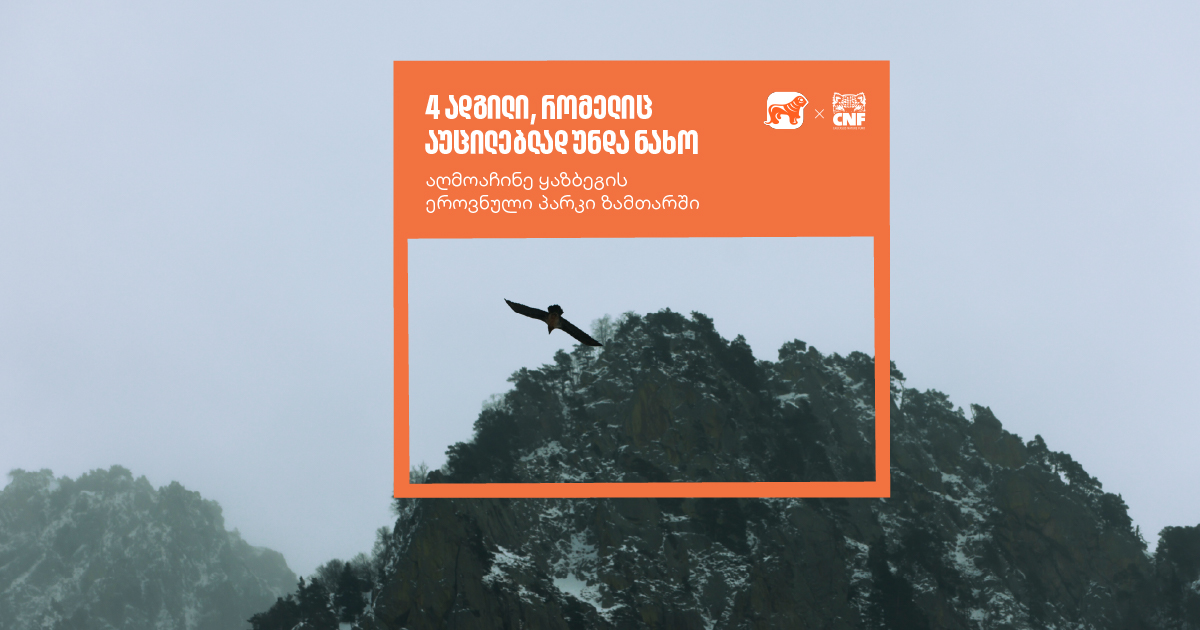 ალპებზე მაღალი მწვერვალები და მინერალური ტბები - აღმოაჩინე ყაზბეგის ეროვნული პარკი