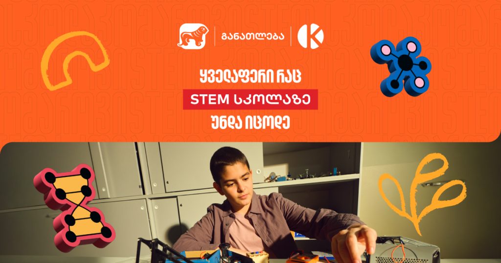 ყველაფერი STEM სკოლაზე: რეგისტრაციიდან დაფინანსებამდე