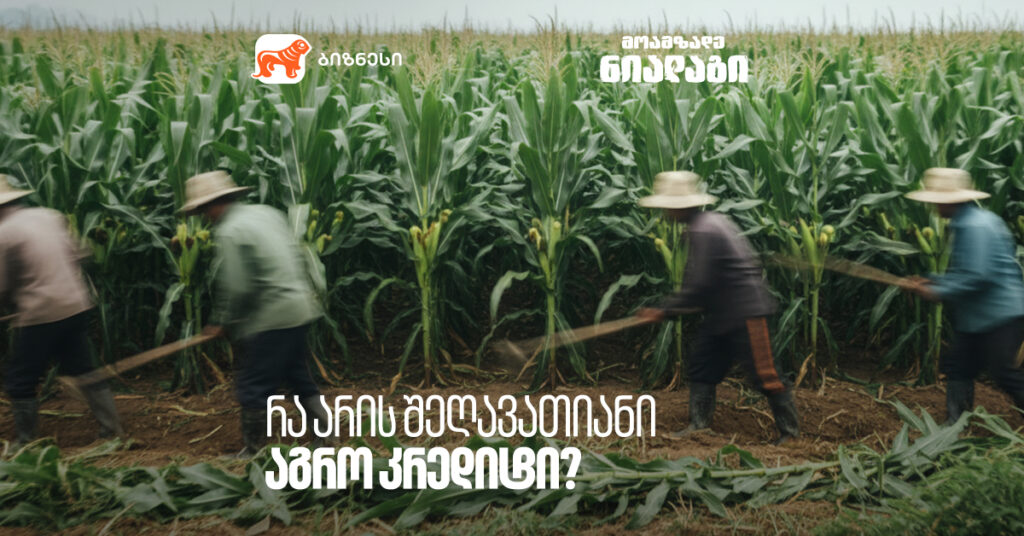 შეღავათიანი აგროკრედიტი: გაიგეთ, როგორ ისარგებლოთ საუკეთესო პირობებით