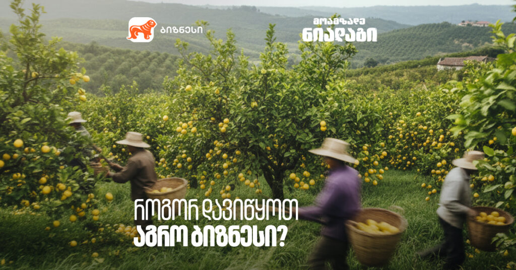 აგრო ბიზნესი საქართველოში: 7 ნაბიჯი წარმატებისთვის