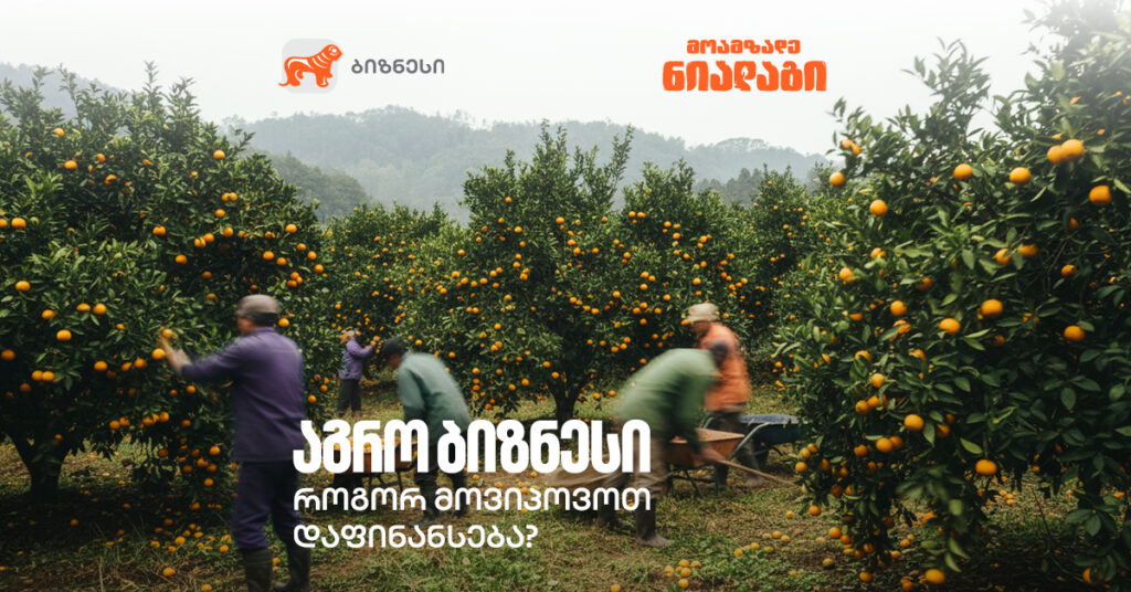 აგრო ბიზნესი: როგორ მოვიპოვოთ დაფინანსება?