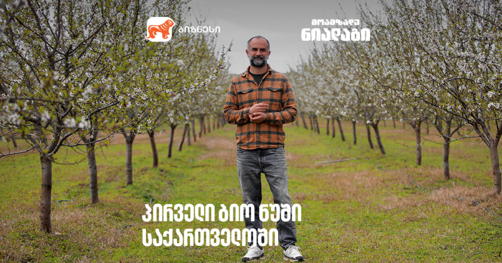 პირველი ბიო ნუში საქართველოში | თორნიკე მჭედლიშვილის ინოვაციური აგრობიზნესი