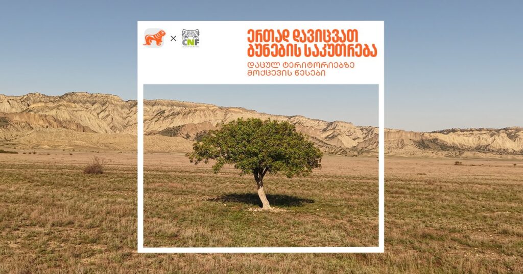 დაცული ტერიტორიები: 8 მარტივი წესი, რომლითაც ბუნებას იცავ